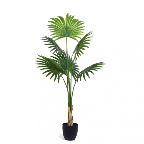 Plante Artificielle Palmier Fan 1.20 cm