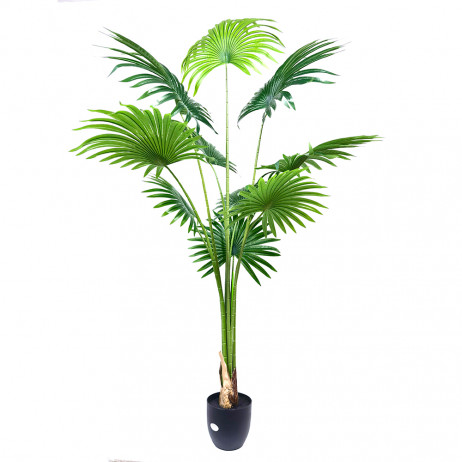 Plante Artificielle Palmier Fan 1.80 cm