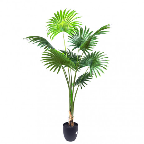 Plante Artificielle Palmier Fan 1.60 cm